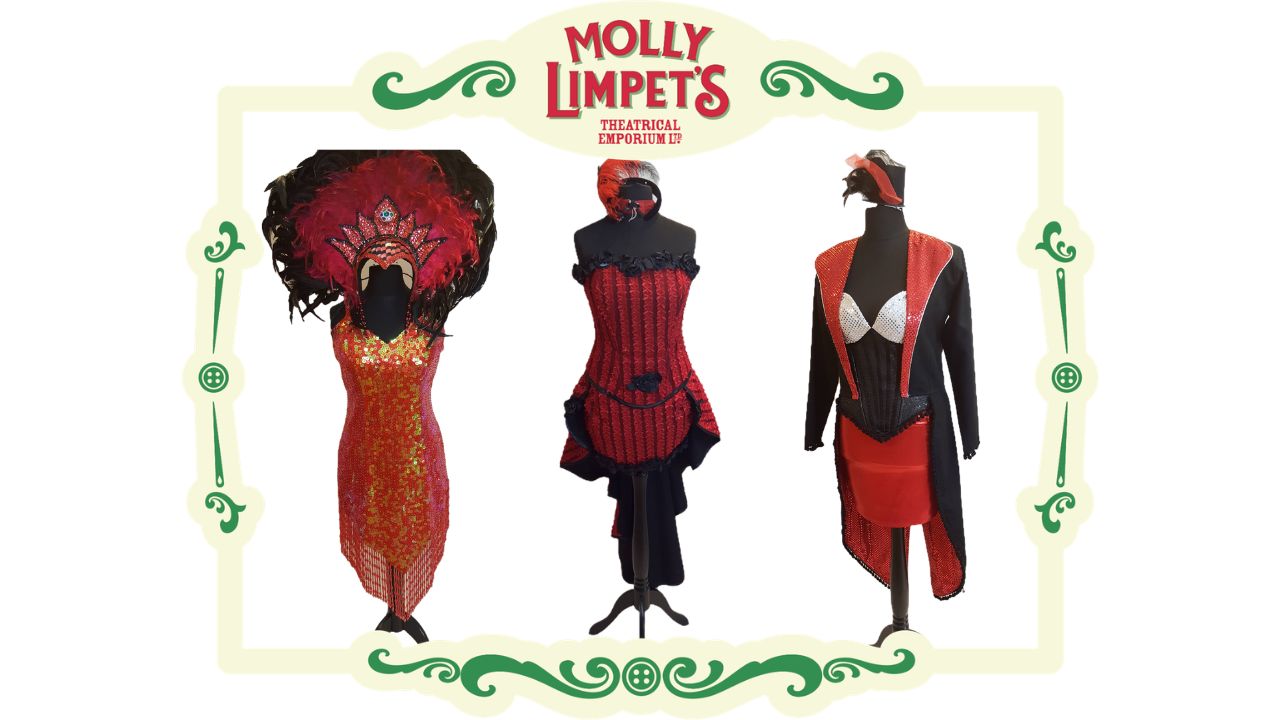 can can costume fancy dress