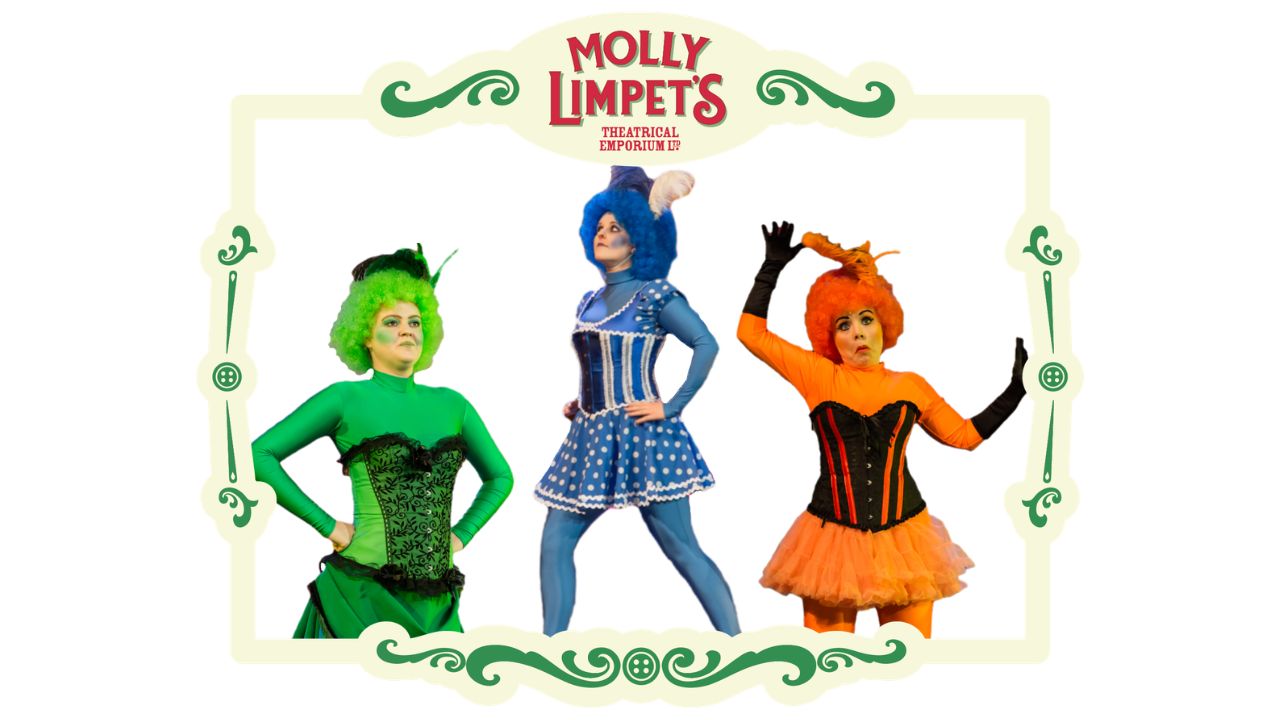 pt barnum circus costume for rental