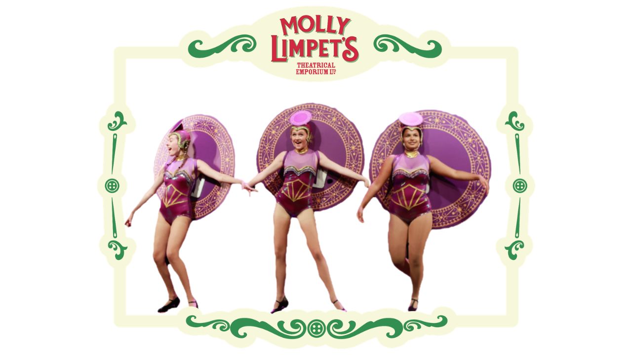 junior costume hire for disney's beauty and the beast