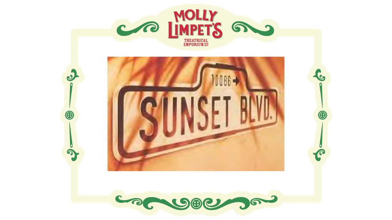 norma desmond theatrical costume hire