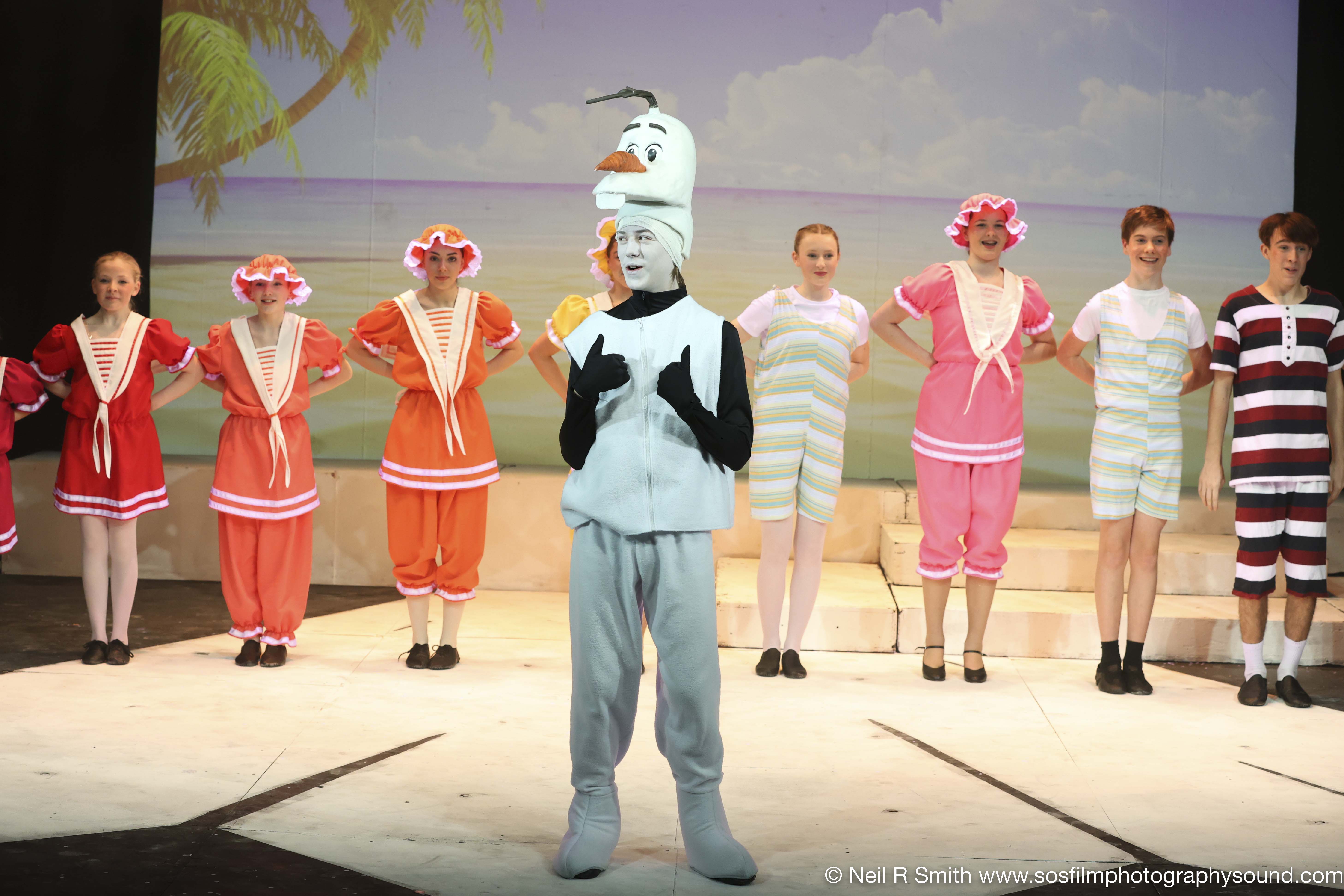 Summer Chorus Frozen Jr ensemble costume hire