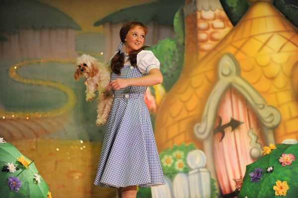 The Wizard of Oz 11