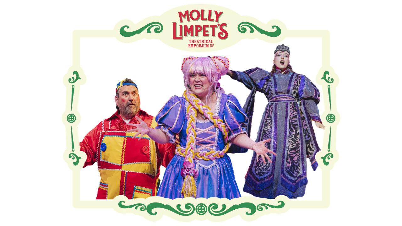 stage costumes for pantomime productions of rapunzel