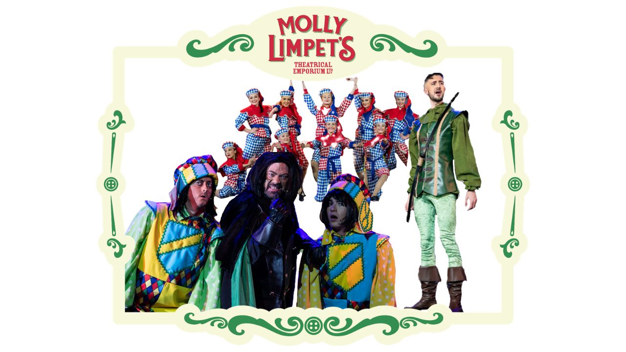 Pantomime dancer costume professional