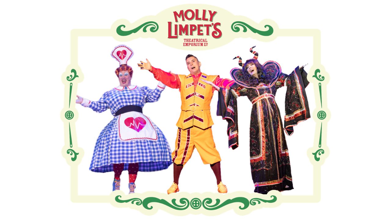 sleping beauty stunning panto hire costumes