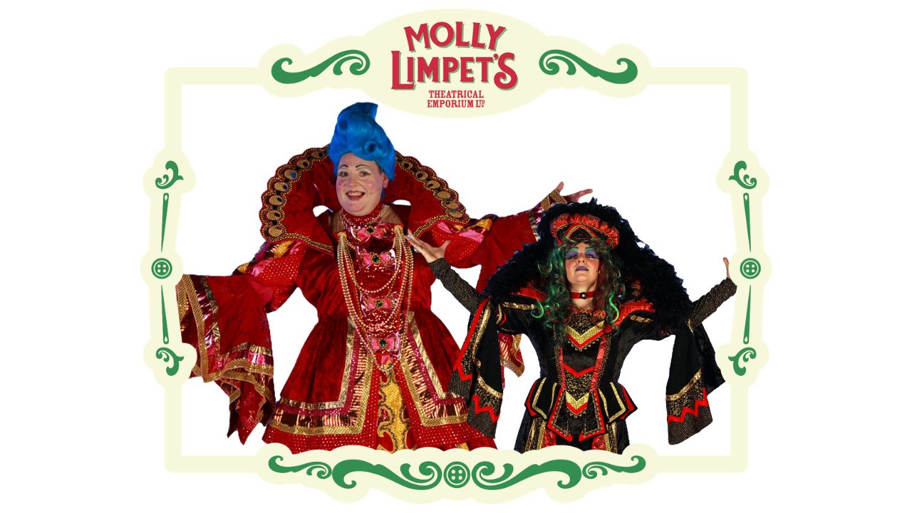 sleeping beauty costume designs