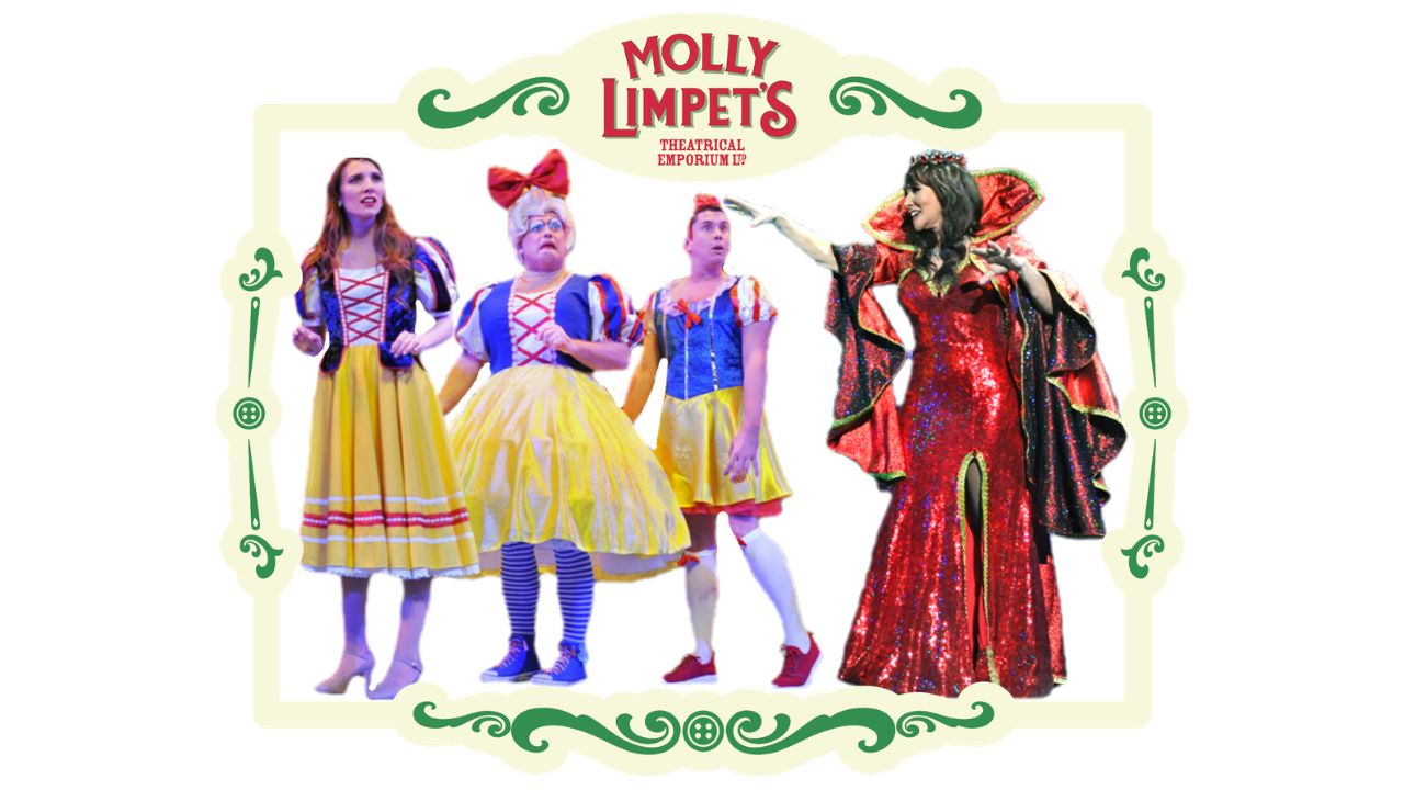 panto dame costume designs