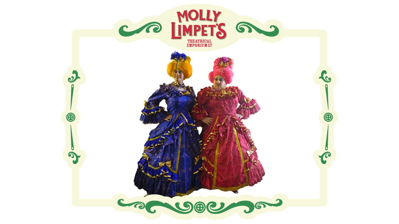 deluxe costume hires for ugly sisters