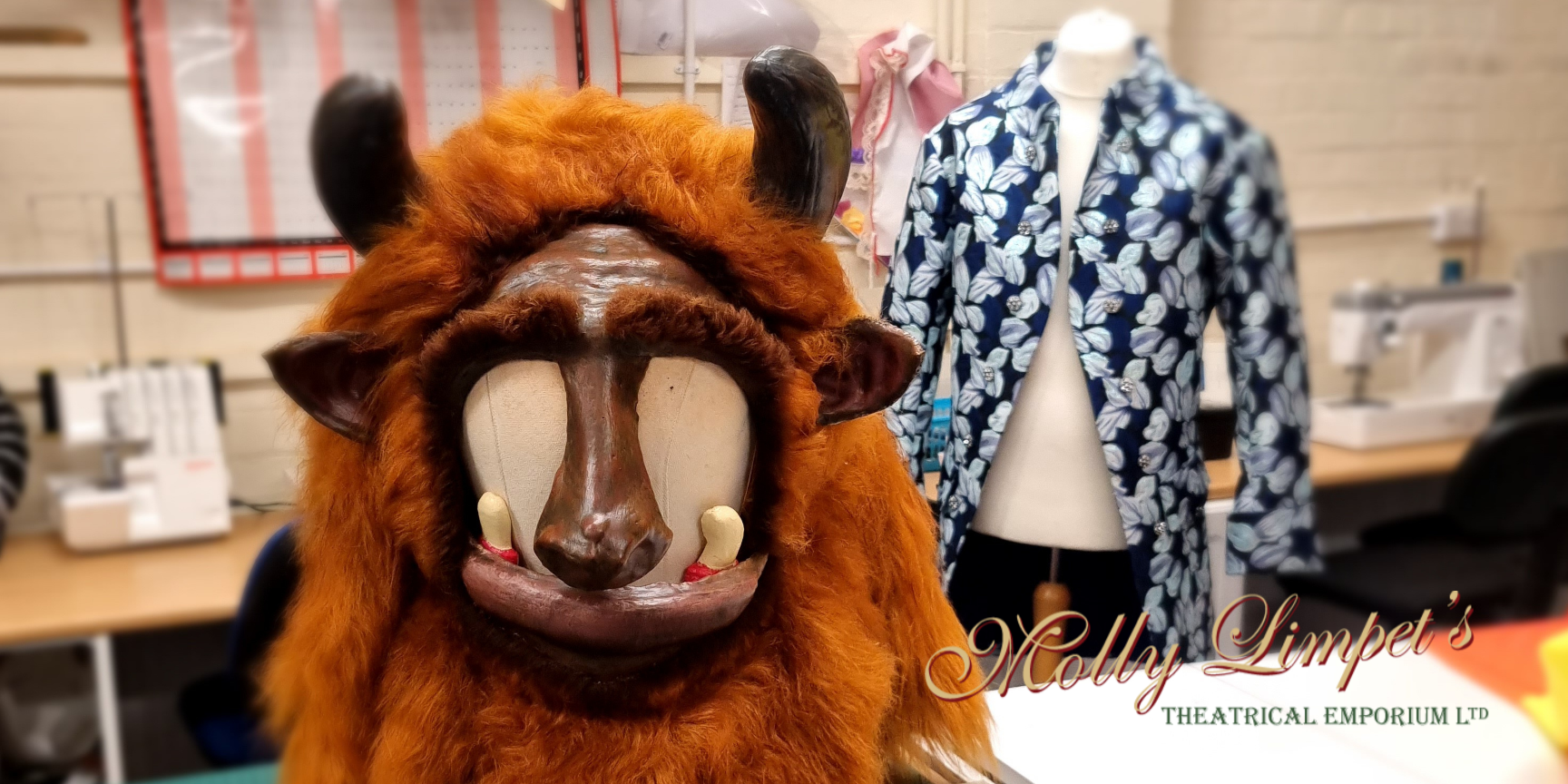 belle and the beast costume hire