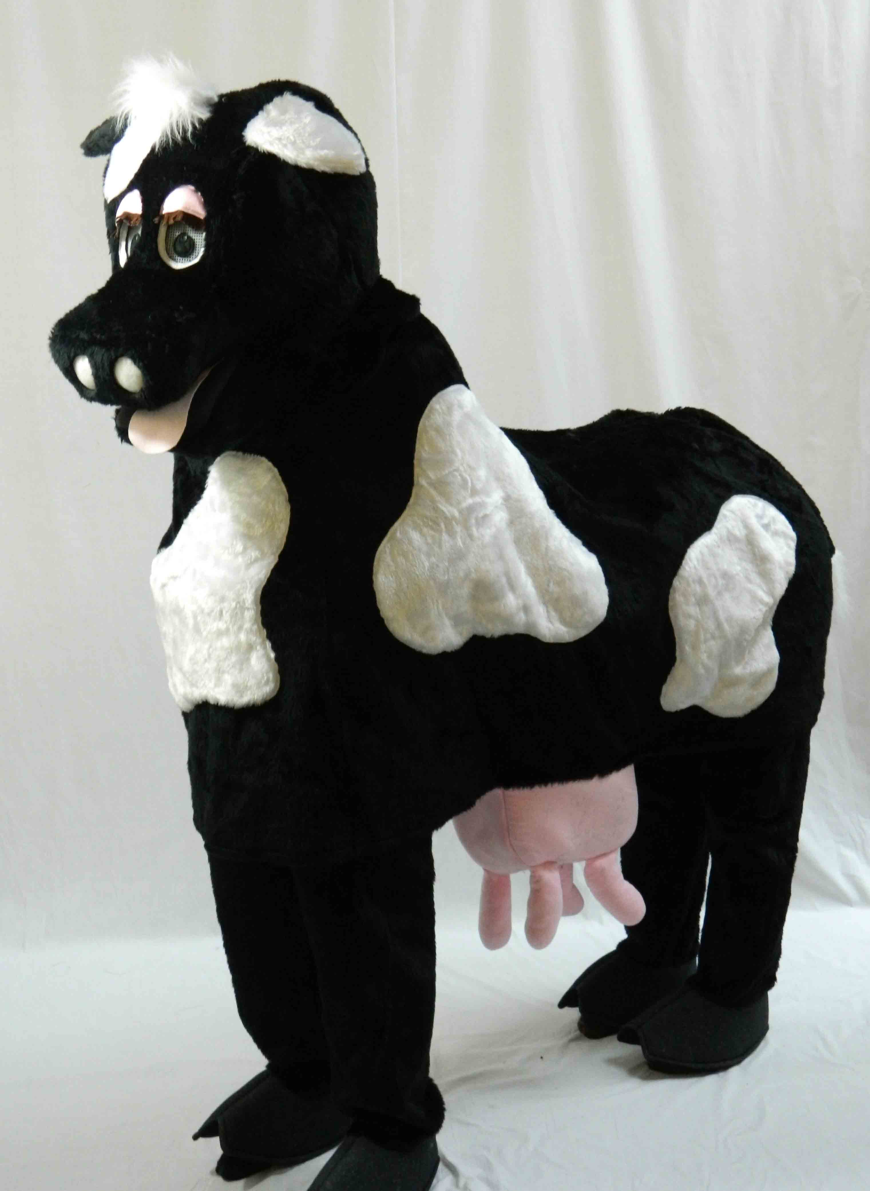 Black and white panto cow for hire